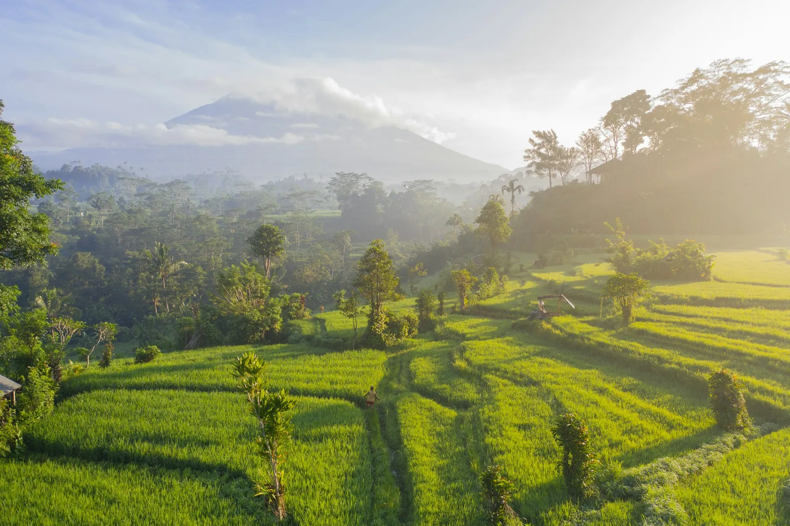 Terasering sawah di Bali