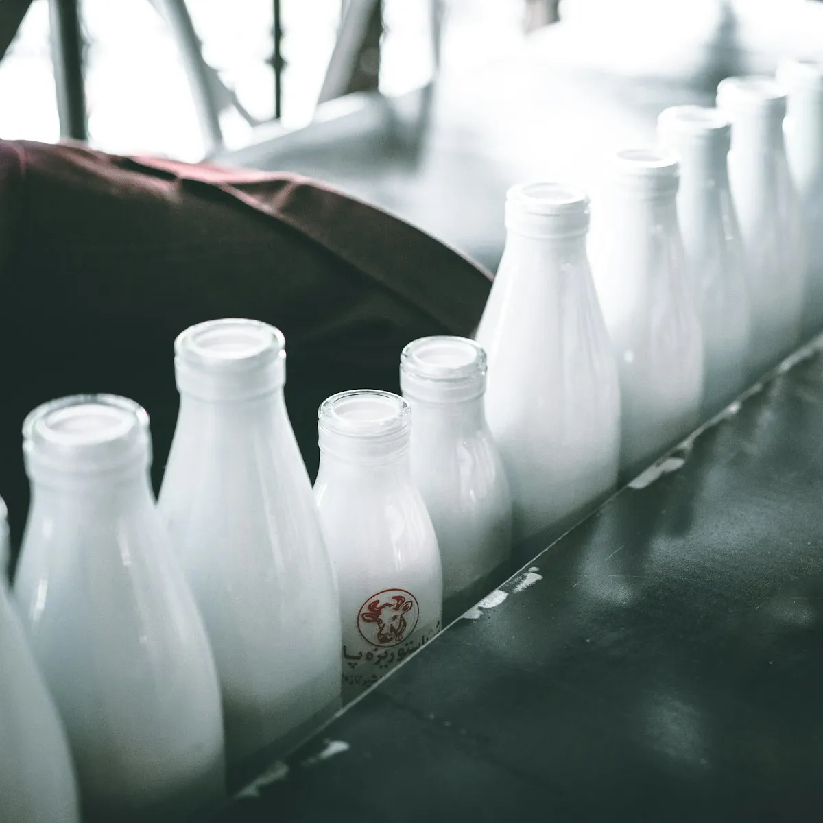 Susu & Produk Olahan